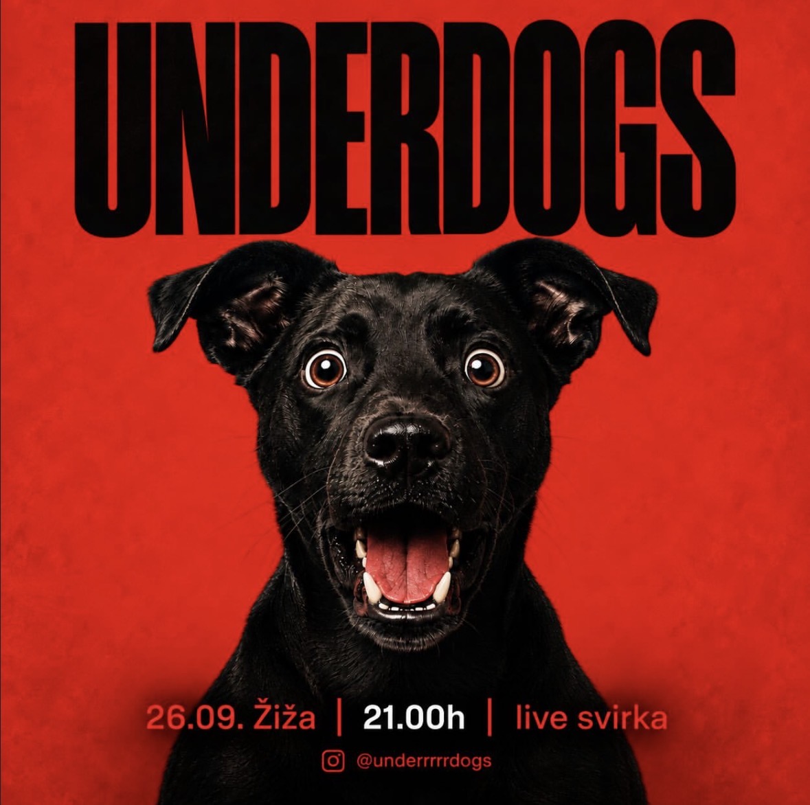 Underdogs